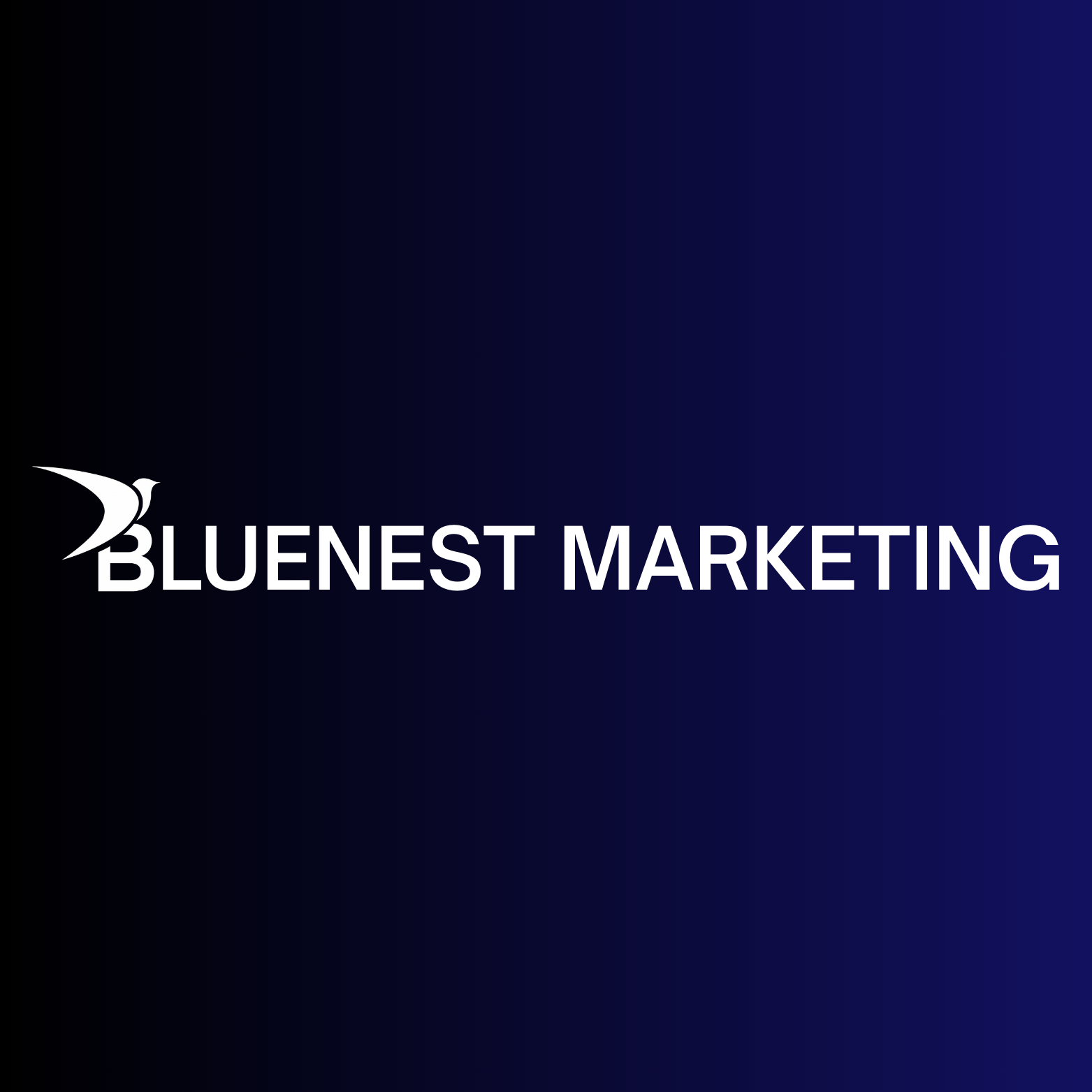 Blue Nest Marketing